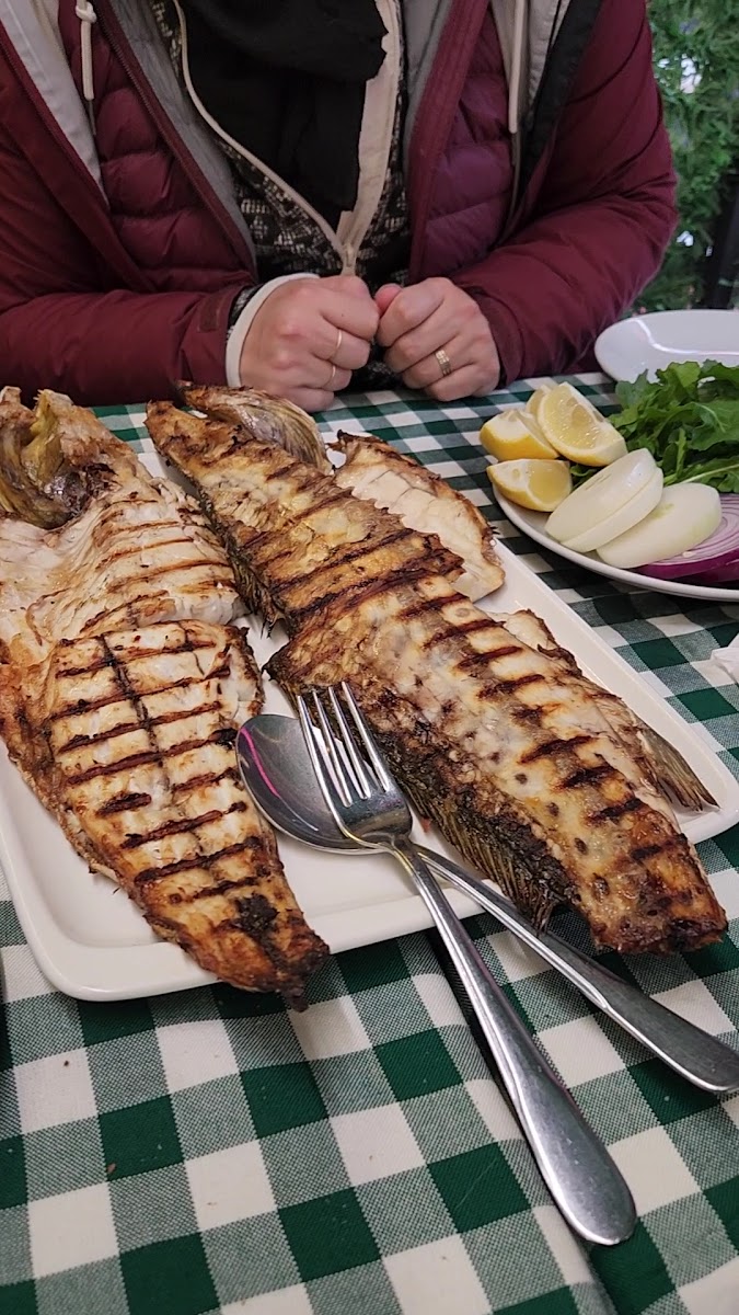 Deniz Yildizi Restaurant-2